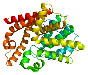 Phosphodiesterase-Hemmer: Neue HD-Medikamente bald in Studien