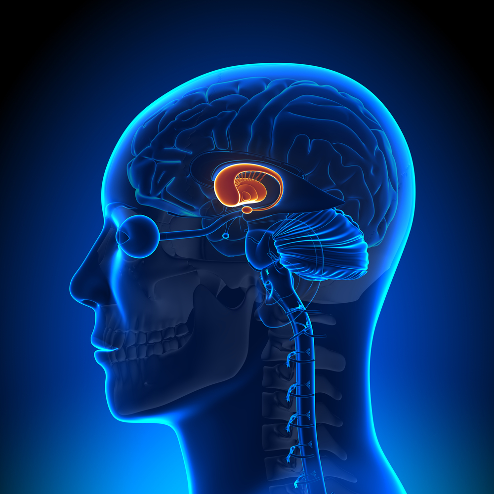Details zur ersten klinischen Studie zur Gentherapie bei Huntington-Krankheit werden bekannt