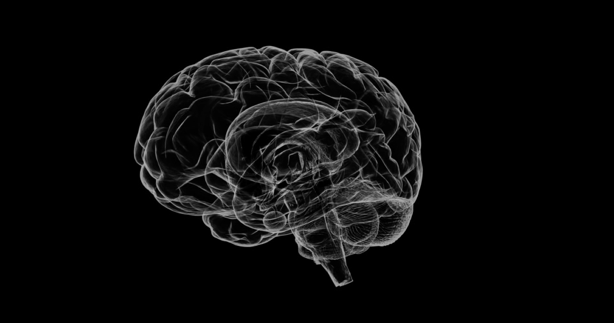 Jungbrunnen: HTT-Protein repariert Neuronen, indem es einen jugendlichen Zustand aufrechterhält