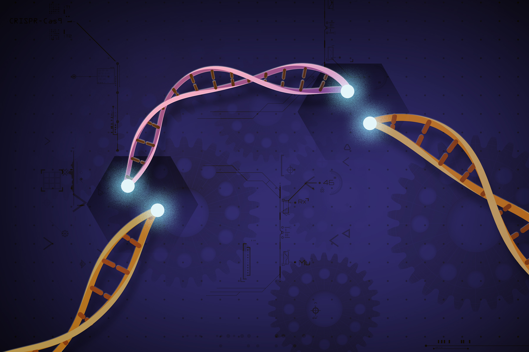 Zur Vorsicht bei der Verwendung der Gen-Editing-Technologie CRISPR wird geraten