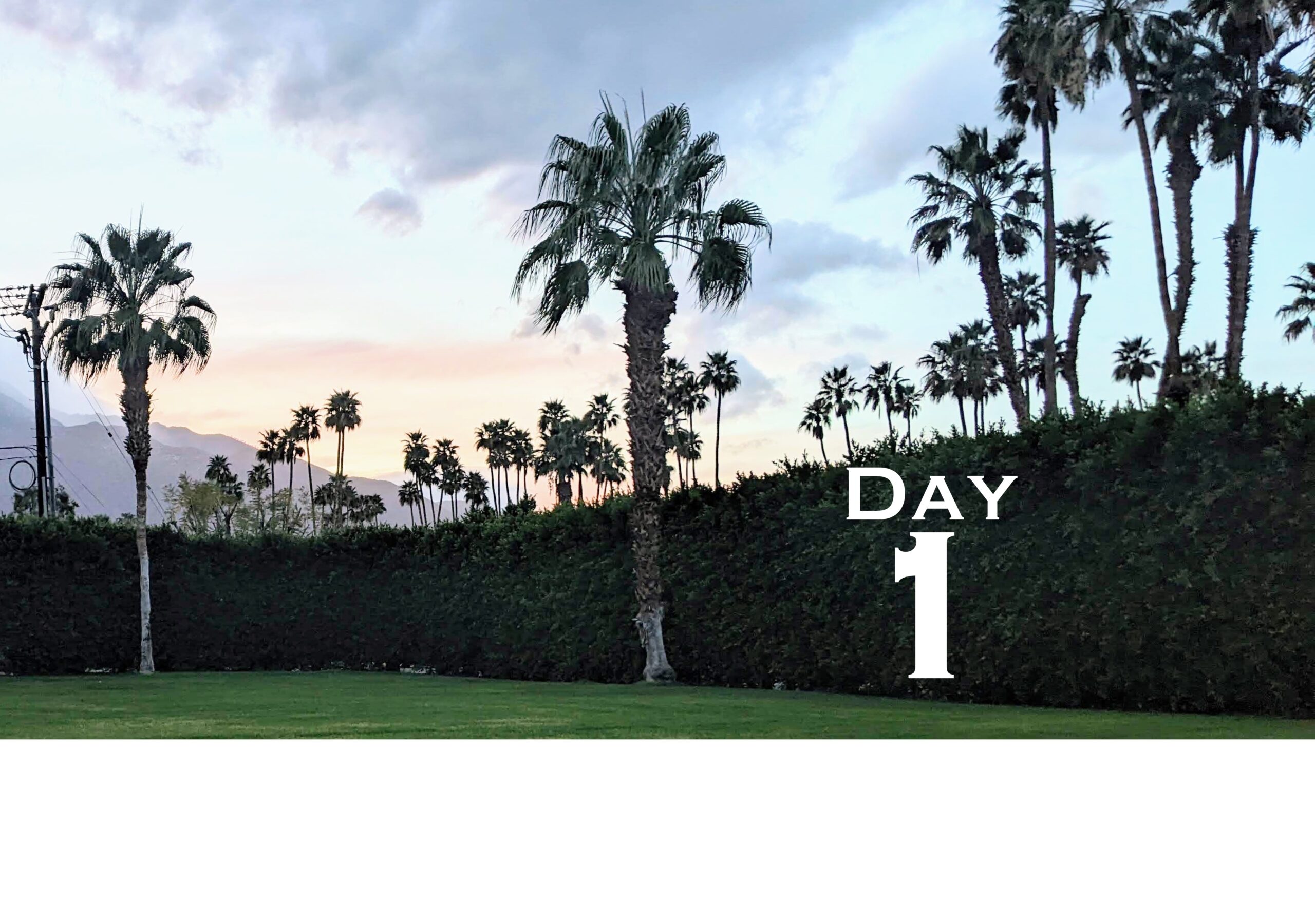 Huntington's Disease Therapeutics Conference 2024 – Tag 1