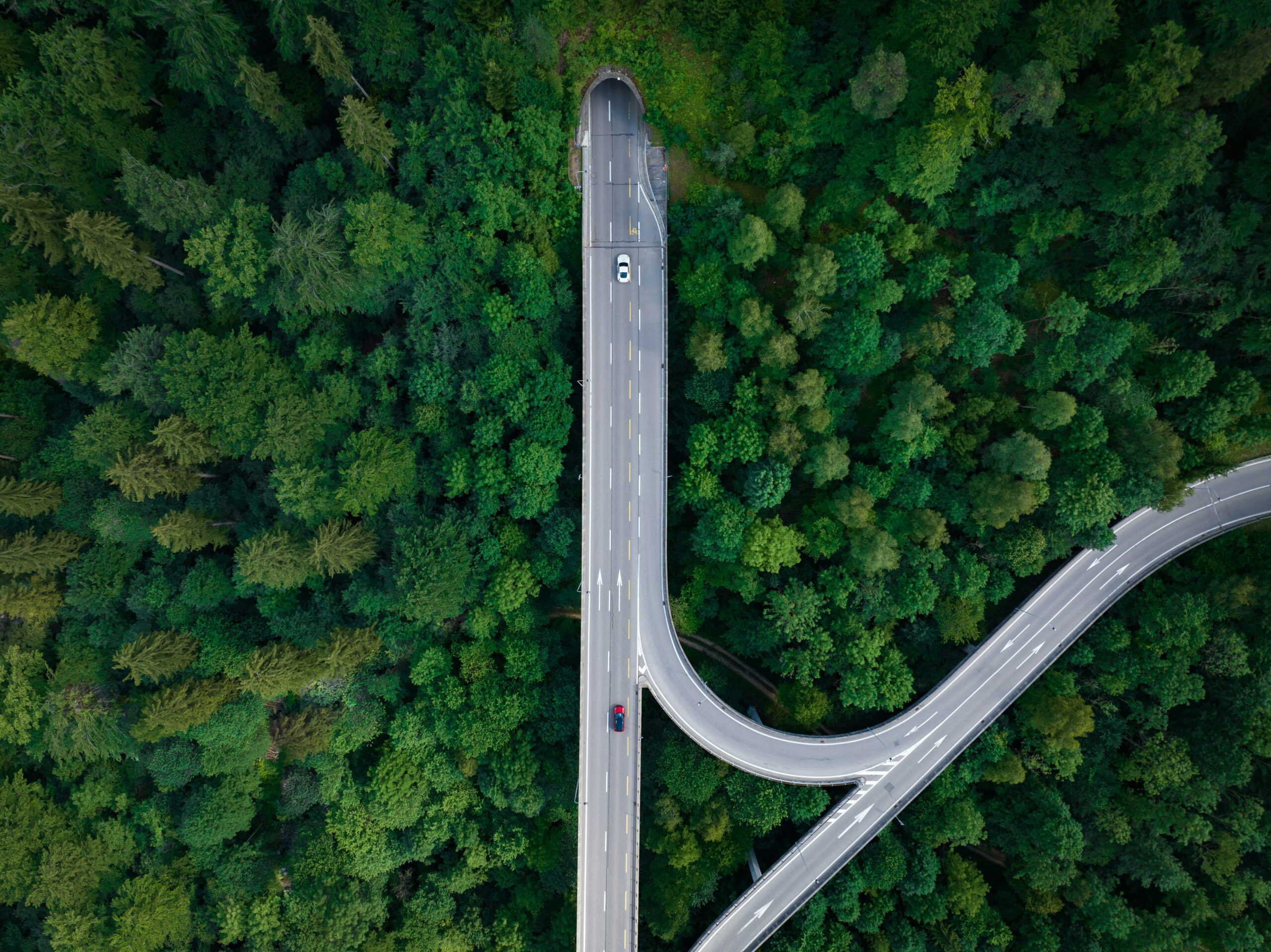 Die Darm-Hirn-Autobahn bei der Huntington-Krankheit: Hinweise unserer Mikroben